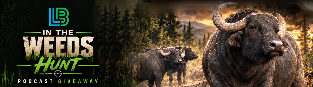 Lawn Buddy In The Weeds Hunt podcast giveaway, with a water buffalo standing in tall grass